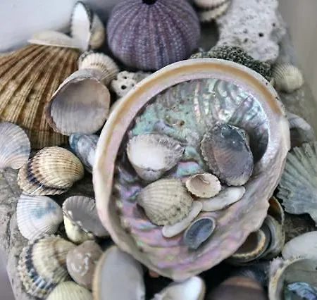 Apartmán Sonata Split